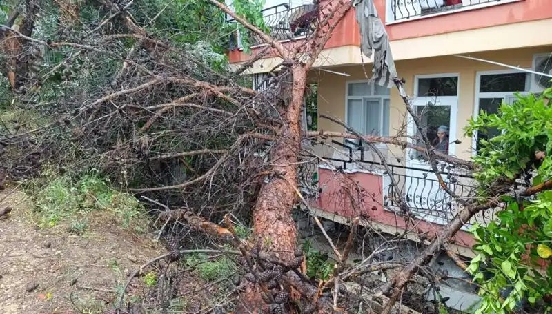 Yağmur Yüküne Dayanamayan Bina Devrildi: Görülmemiş Manzara!