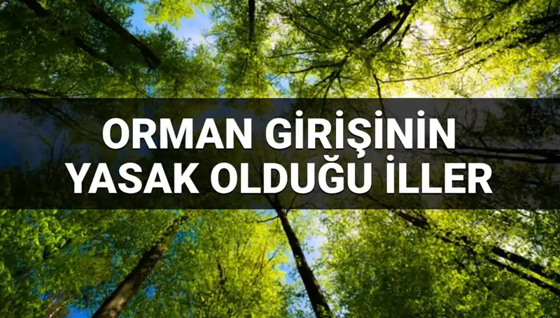 2025'te Ormana Giriş Yasağı Uygulanan İllerin Listesi Açıklandı