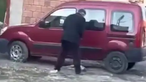 Sokakta Köpeğe Uygulanan Şiddet: Toplumun Vicdanını Sarsan Olay
