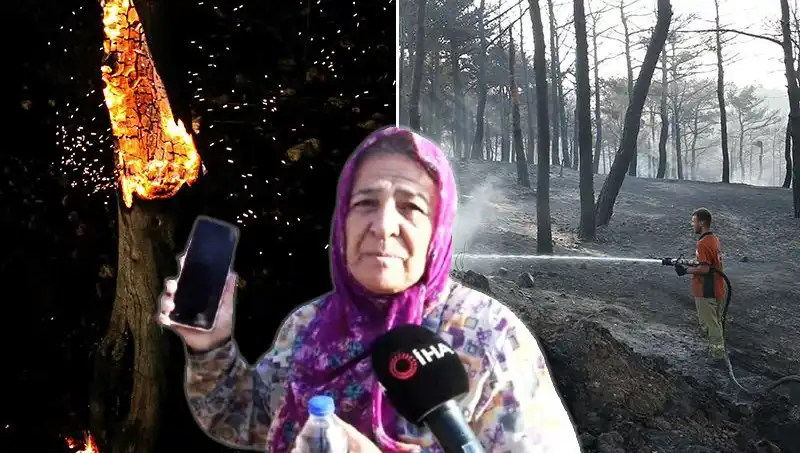 Çanakkale Orman Yangınları Kontrol Altına Alındı: Kurtulanların Dramı