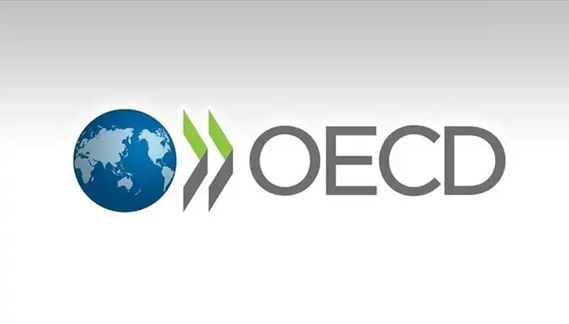 OECD, Türkiye'nin Ekonomik Büyüme Tahminini Yeniledi!