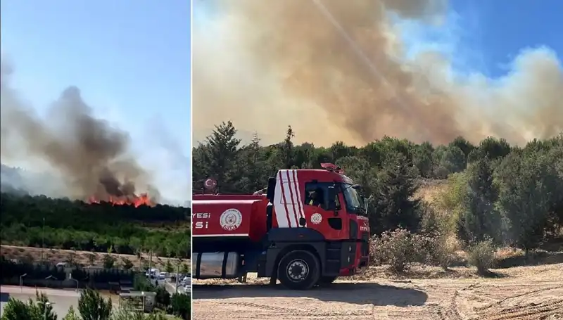 Gebze’deki Orman Yangını: Doğa, Yangının Pençesinde Mücadele Ediyor