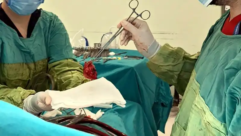 Kalp Kapağı Çürüyen Hastaya 7 Saatlik Ameliyat: Mucizevi Kurtuluş
