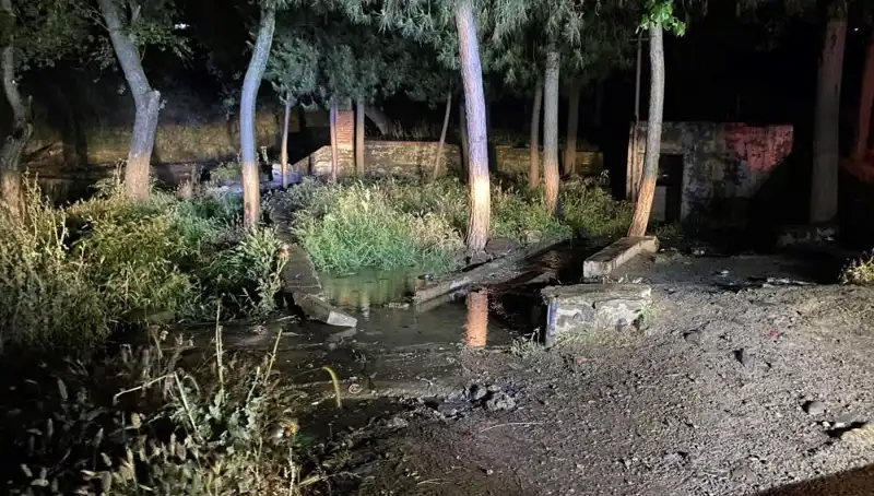 Manisa’da Gizemli Park Ölümü: Olayın Perde Arkası Ne?