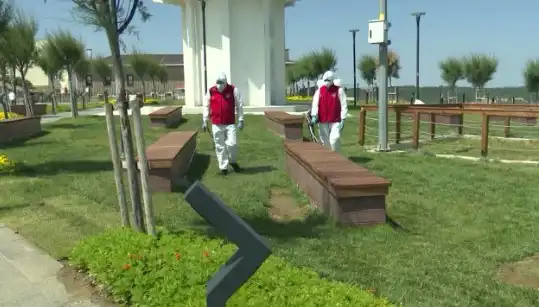 Kene Tehdidi Artıyor: Halka Açık Alanlarda İlaçlama Başlıyor