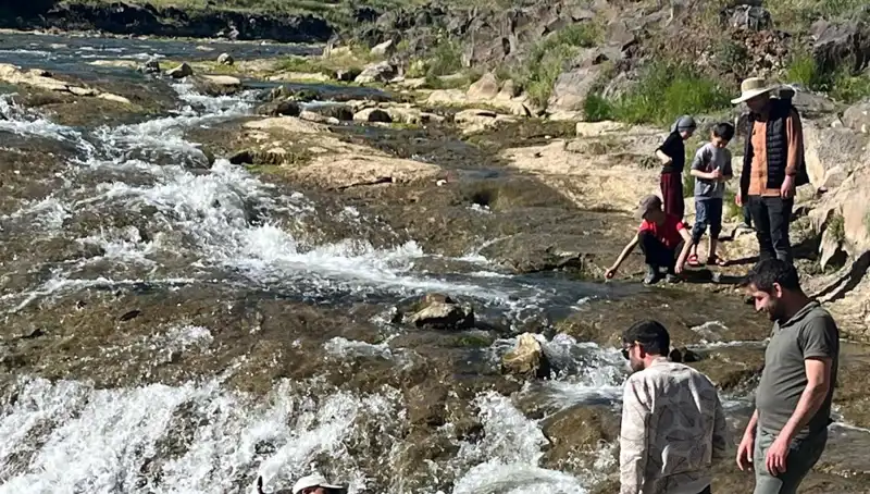 İnci Kefalinin Tüm Dünyayı Büyüleyen Göçü: Meraklıların Akını!