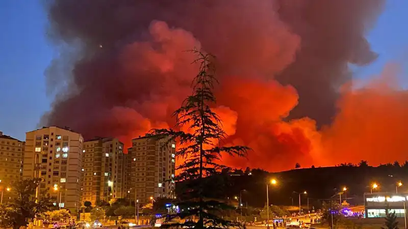 Bursa'da Yangınlar Neden Şehri Kargaşaya Sürükledi?