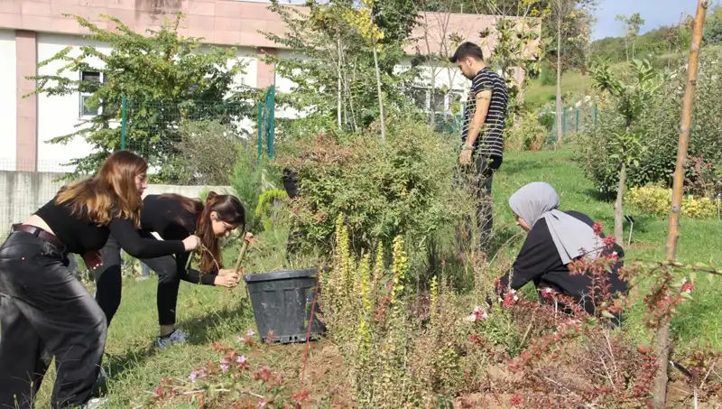 Düzce Köklerinden Doğan Marka: Hayalden Gerçeğe Giden Yol
