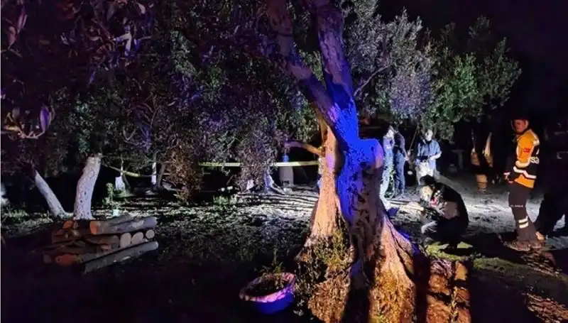 Çiftlikteki Baltalı Vahşete Şok Tutuklama: Kim Hedef Alındı?