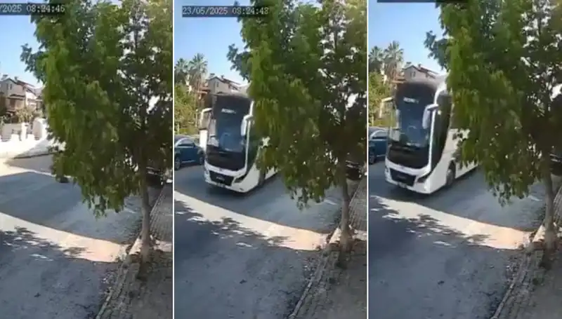 Yolda Yatan Köpeği Ezip Geçen Sürücünün Duyarsızlığı Tepki Çekti