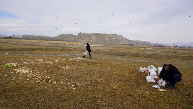 17 Yıldır Ekmek Kırıntıları Toplayan Adam: Hayatı Değiştiren Bir Hikaye