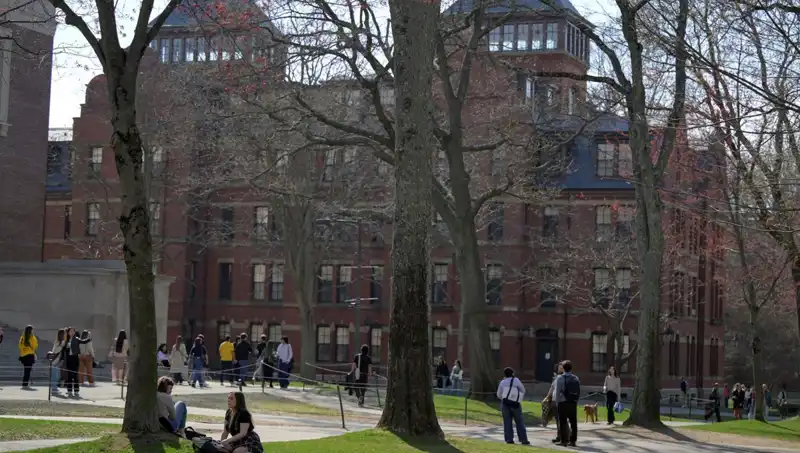 Harvard, Yabancı Öğrenci Kayıt Yetkisini Kaybetme Riskiyle Karşı Karşıya