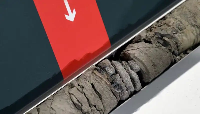 Müze Otoparkında Eşsiz Dinozor Fosili Keşfedildi!