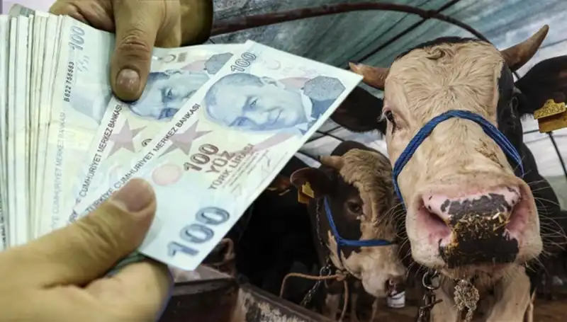 Kurban Bayramı Öncesi Maaş Ödemeleri Hakkında Bilmeniz Gerekenler