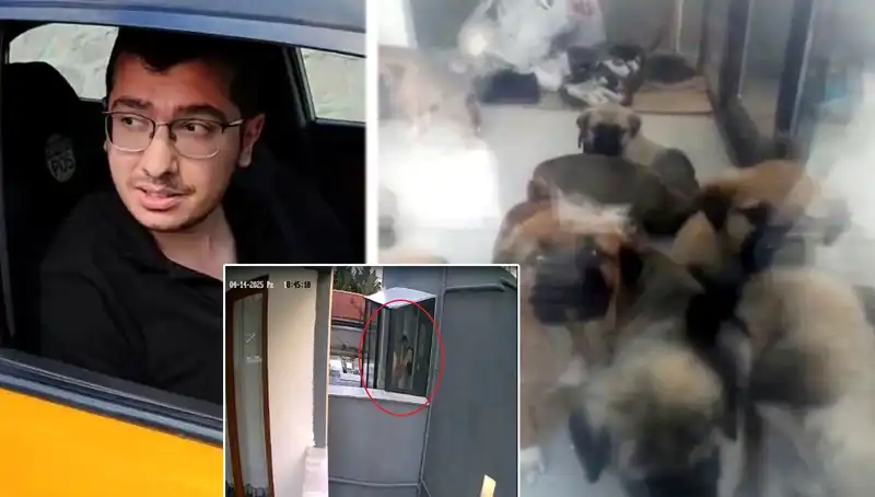 Veteriner Dr. N. B. Şok Edici Suçla İlgili Gözaltına Alındı!