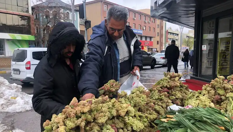 Kendiliğinden Yetişen, Vitamin Deposu Bitki: Kanser Tedavisinde Umut Vaad ediyor