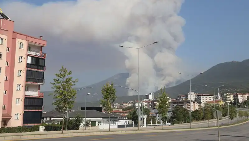 Denizli'de Orman Yangını: Korkutan Durum ve Gözaltı!