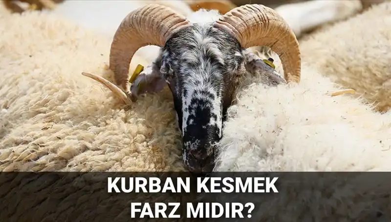 Kurban Kesimi Farz Mı? Diyanet’in Açıklamalarıyla Detaylar